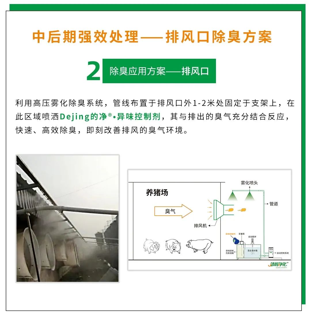 Dejing的凈養殖場除臭劑如何迅速清理養殖場臭味？.jpg