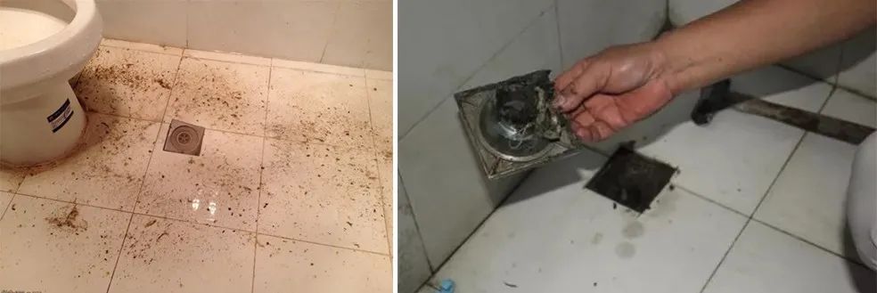 家里衛生間老有異味，潔匠凈化教您如何解決難聞的臭味.jpg